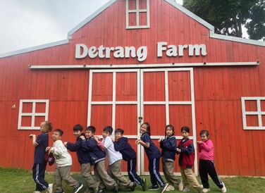 Dã ngoại Detrang Farm