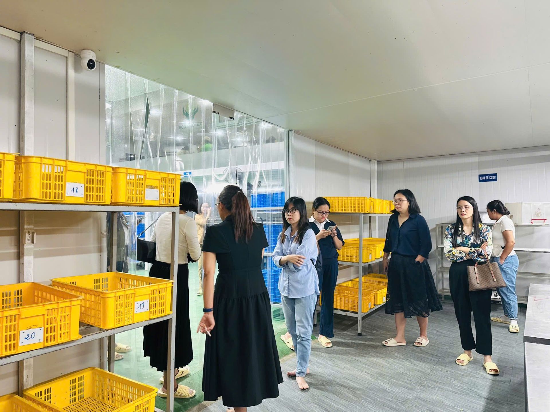 z7171428743852_01eb856118df98190583f5e81c666ba1